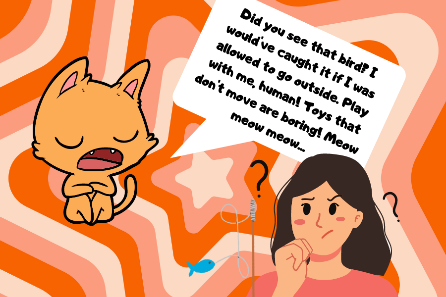How to Deal With a Talkative Pet?