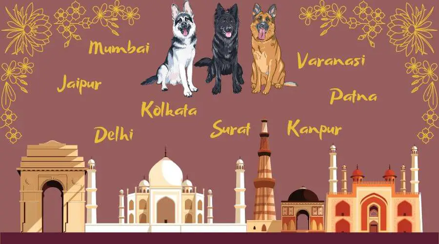 indian dog names inspired by indian cities
