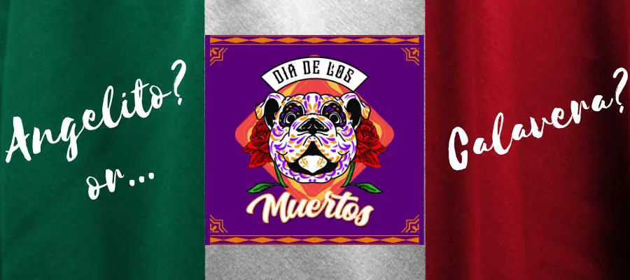 mexican dog name ideas