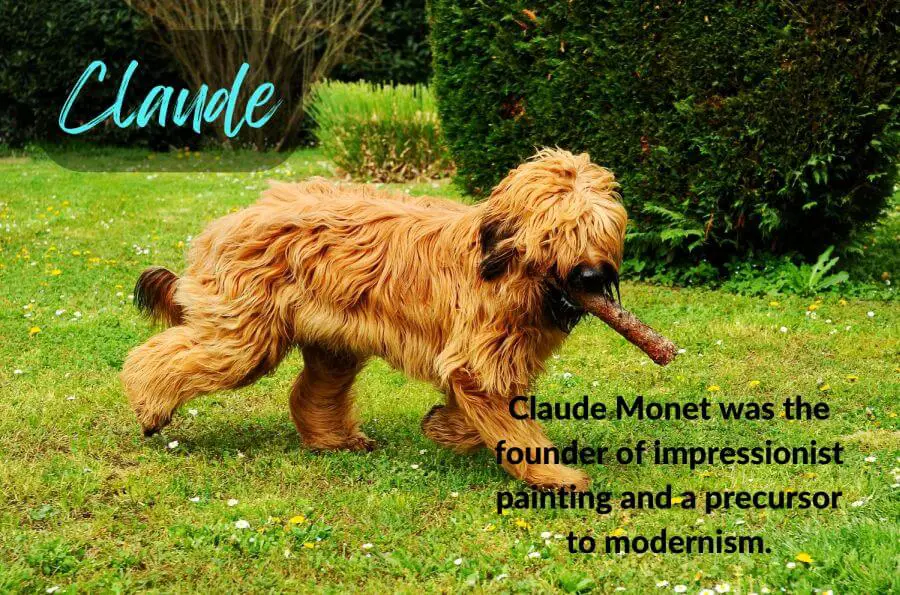 Naming Your Dog After Famous French People