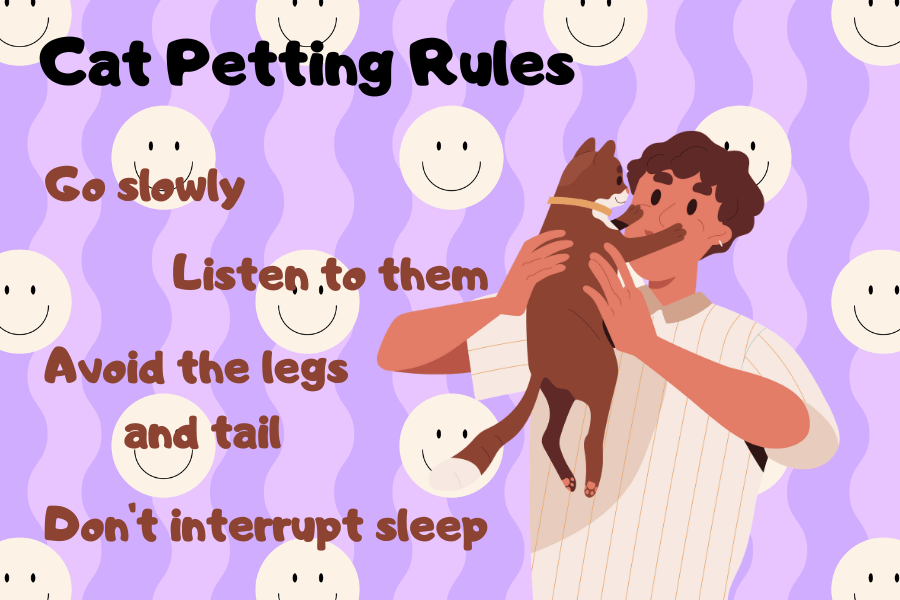 Petting Your Cat: Rules