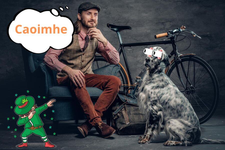 Popular Irish dog names for your new pup