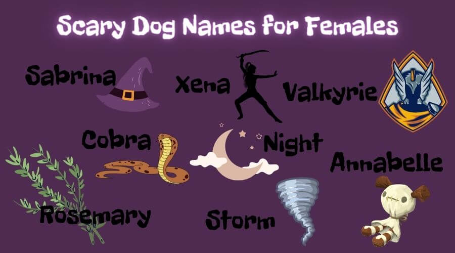 scary movie names for girl dogs