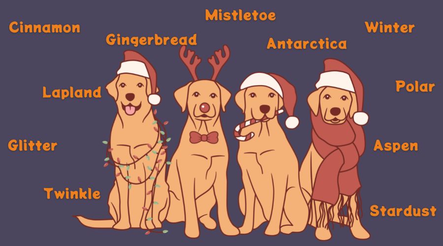 top christmas dog names