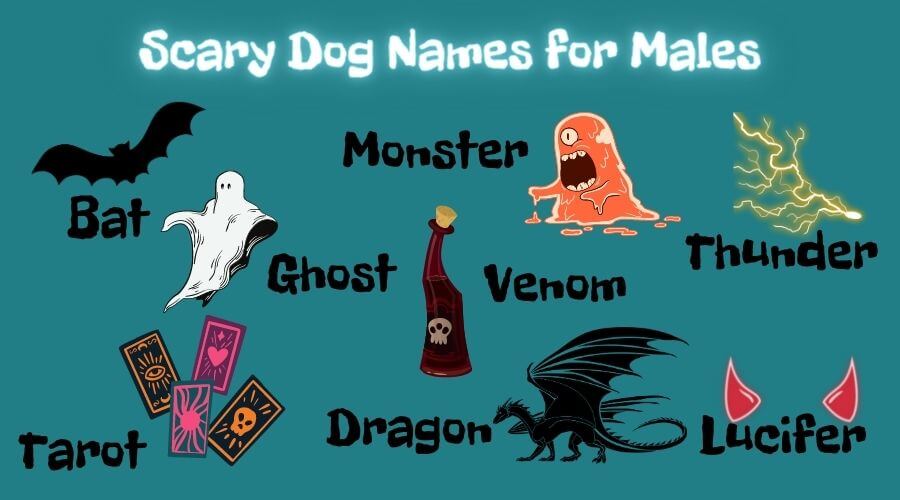 tough names for boy dogs