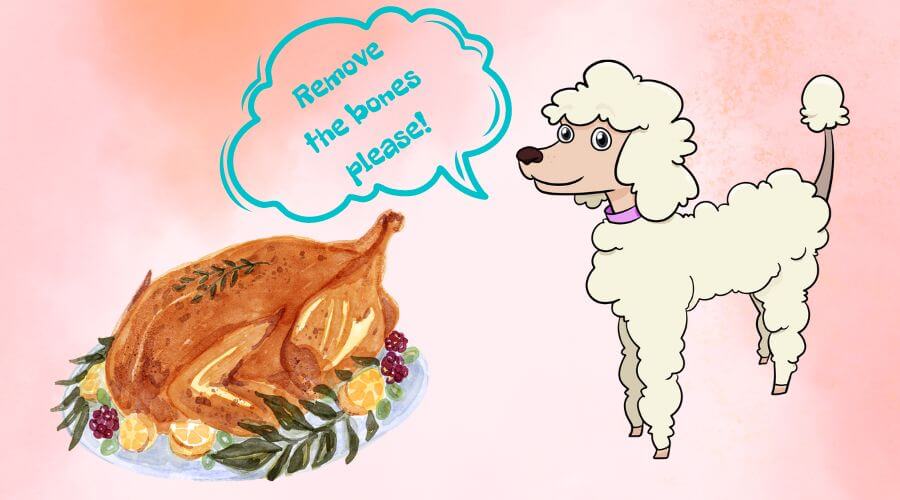 when is turkey not good for dogs